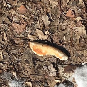 Meet your Posher, Victor